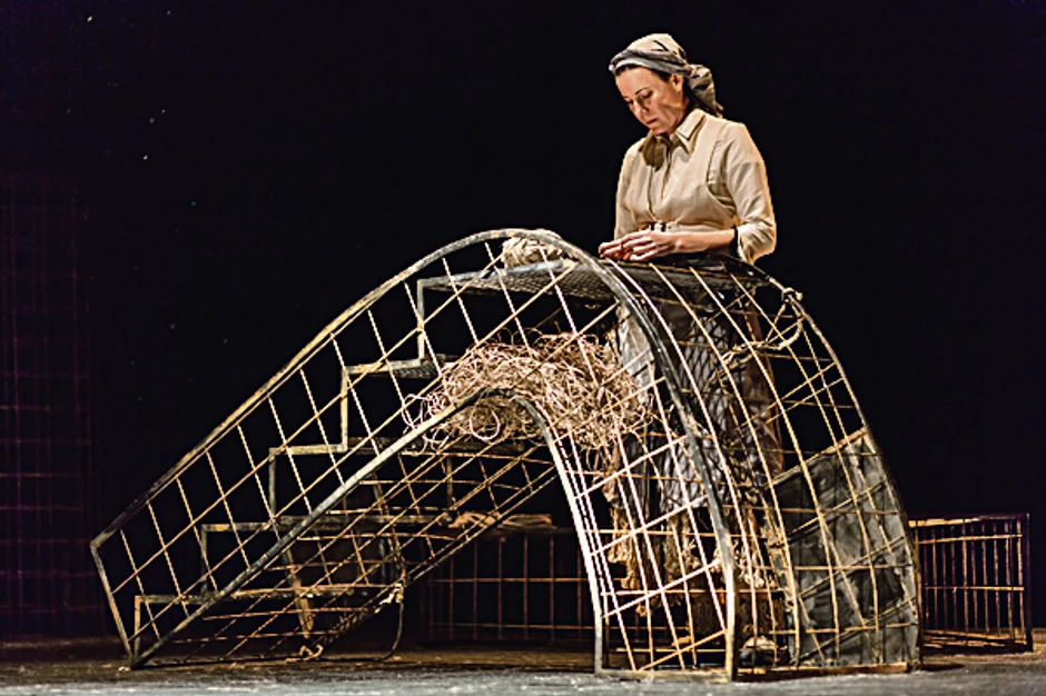 Scena iz "Petrijinog venca"