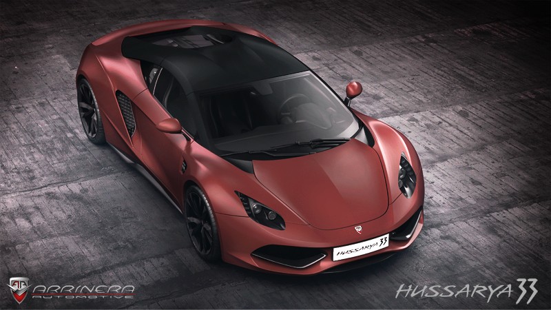 Arrinera hussarya 33