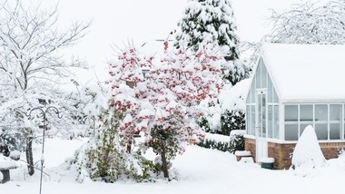 ostatni dzwonek dla działek rod? związkowcy biją na alarm