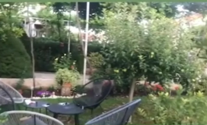 Nataša Ninković imanje