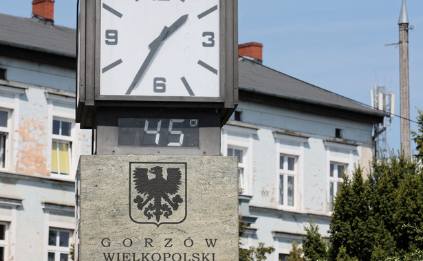 Wyniki wyborów samorządowych 2018. Gorzów Wlkp.: Jacek Wójcicki wygrywa w pierwszej turze