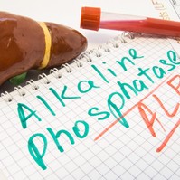 Mit jelent az ALP érték a laborleleten?