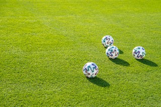 Zasady wstrzymania gminnego wsparcia na zadania sportowe reguluje ustawa, a nie radni