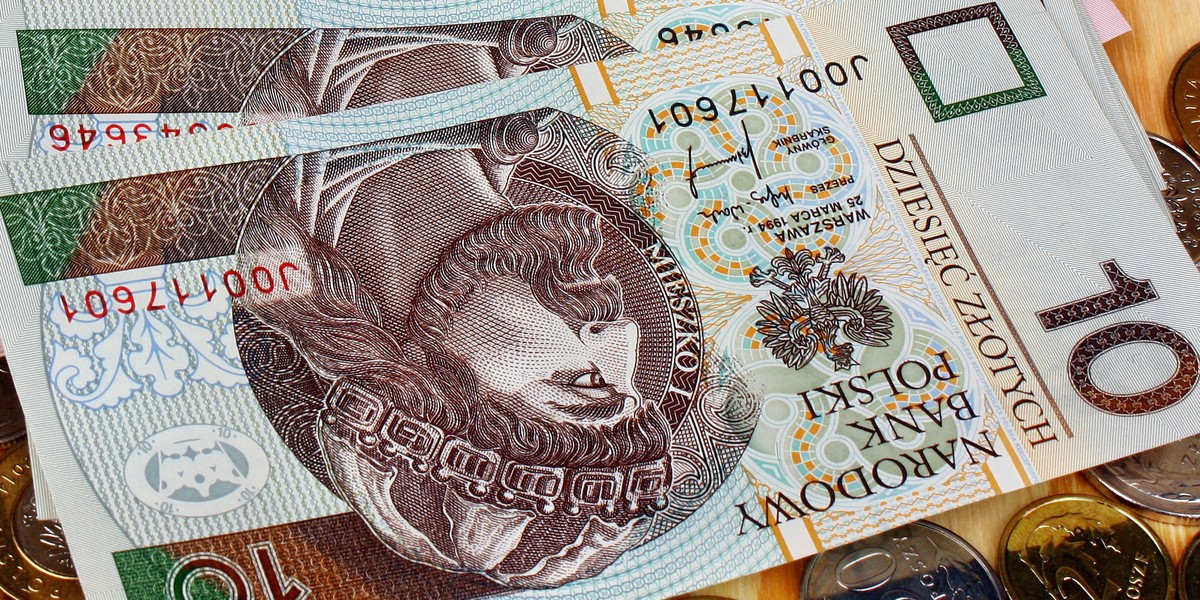 Kolekcjonerzy poszukują wyjątkowych banknotów 10 złotowych. Za najrzadsze okazy można zgarnąć małą fortunę.