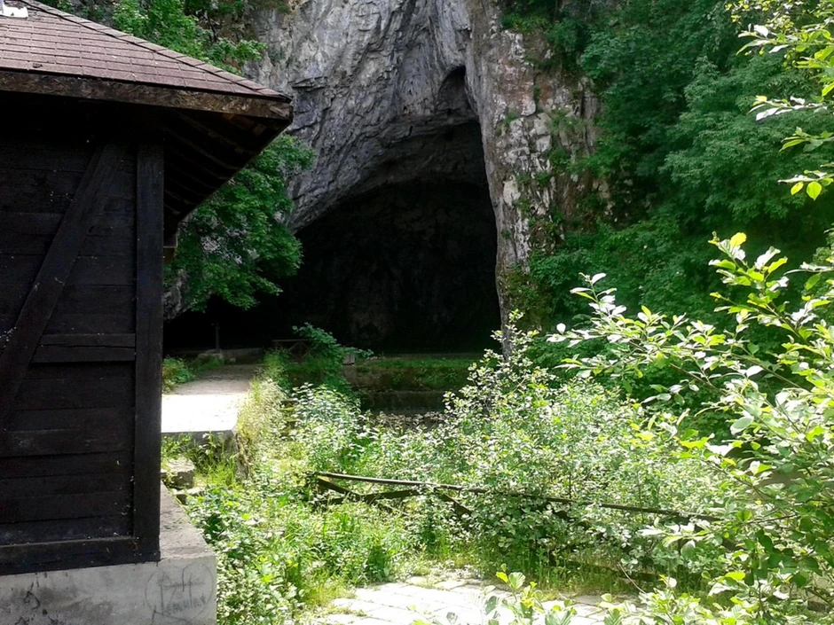 Petničku pećinu i prostor oko nje istraživali su još u 19. veku Josif Pančić i Jovan Cvijić