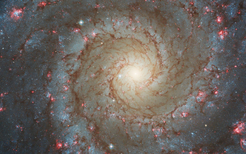 Galaktyka NGC 628
