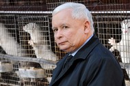 Jarosław Kaczyński zwierzęta