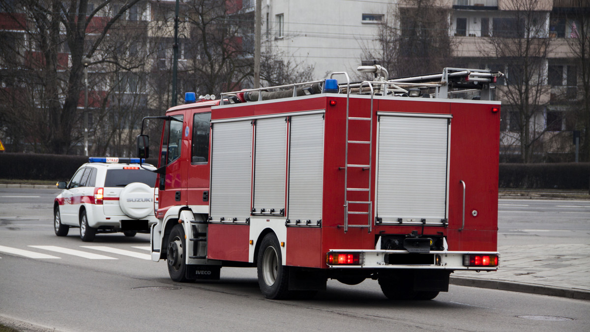 Pożar busa na Trasie Toruńskiej. Kierowca uratował dzieci