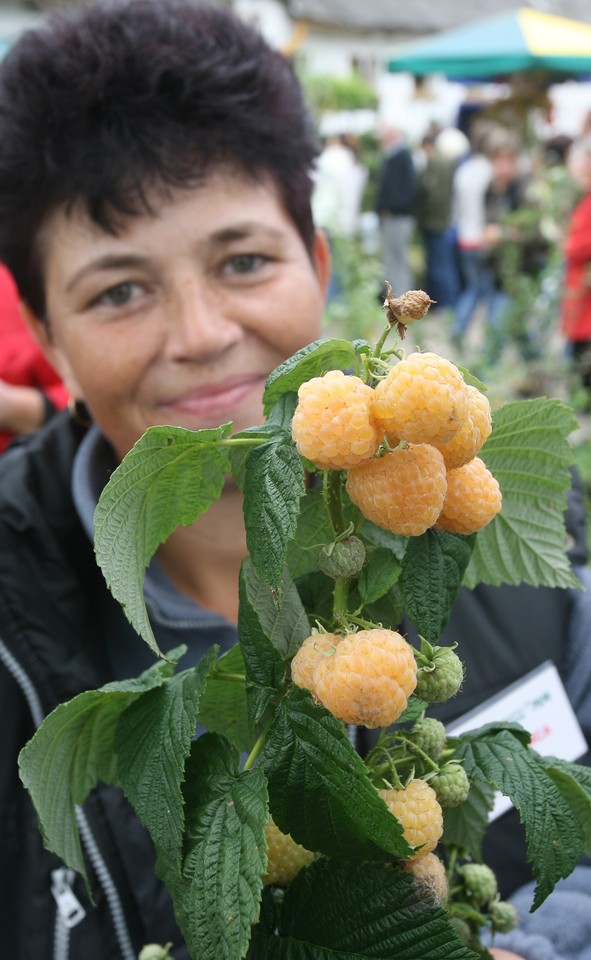 NAWOJOWA WYSTAWA ROLNICZA AGROPROMOCJA 2010