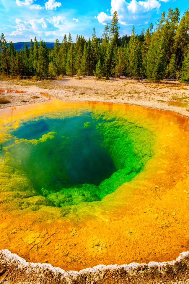 Park Narodowy Yellowstone 