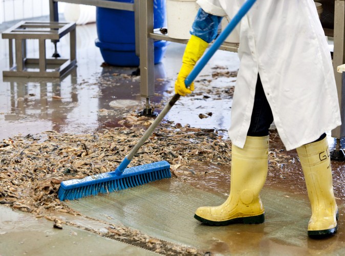 Przetwórnia rybna w Scheveningen