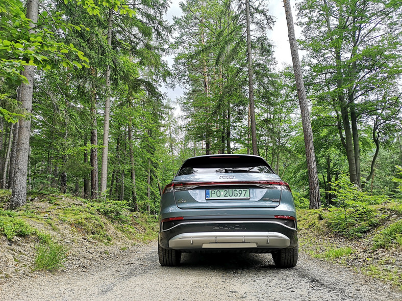 Audi Q4 e-tron 2021