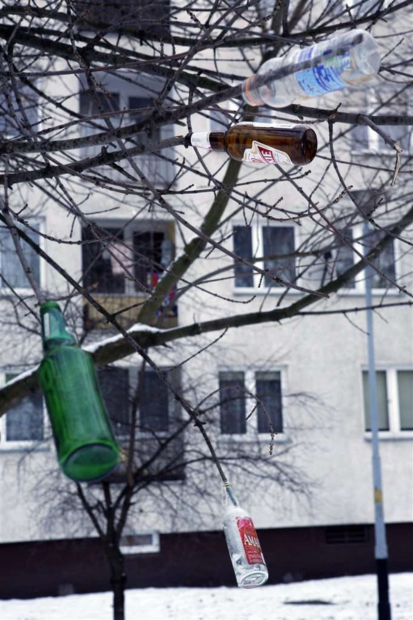 Oto najlepsze miejsce na dużą libację!