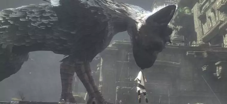 The Last Guardian z obsługą PlayStation Move?