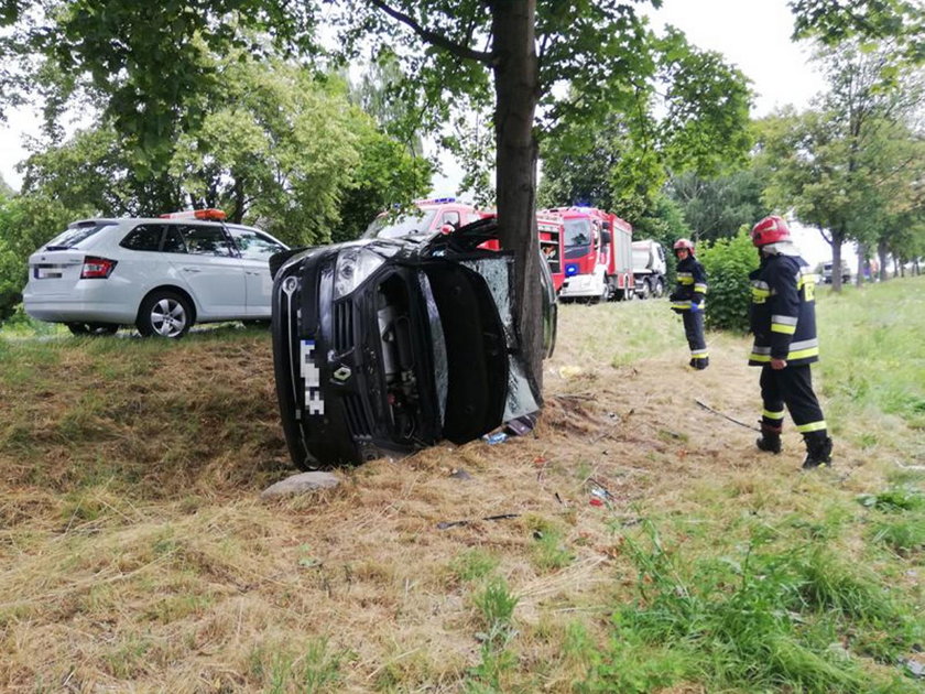 Perzyce: auto omijało kota i dachowało. W samochodzie dzieci