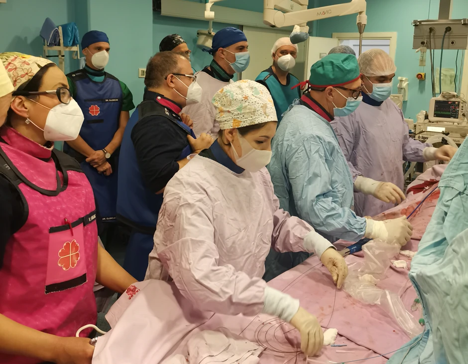 Dedinje, TAVI procedura