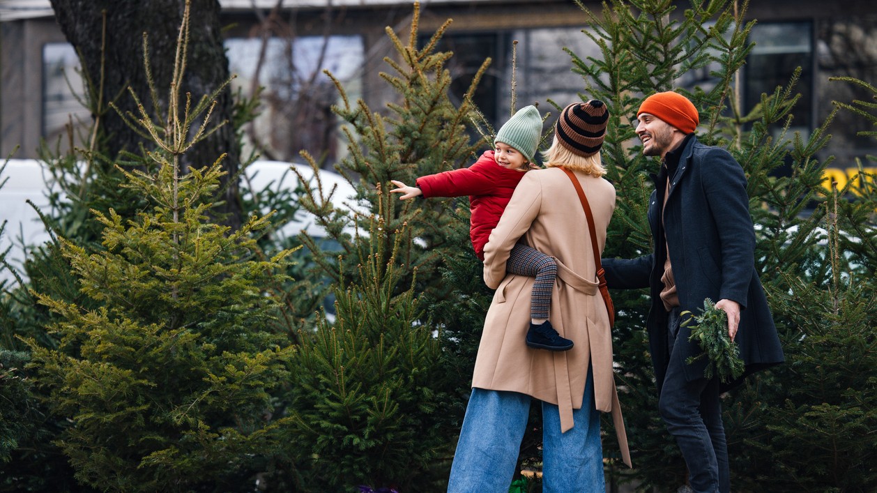 Chystáte sa na nákup vianočného stromčeka?