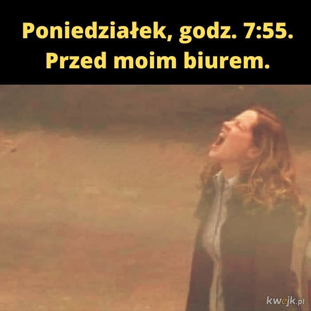 Poniedziałek — najlepsze memy