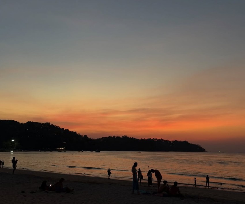 Viktor Živojinović, objava