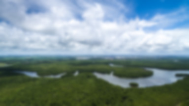 Setki geoglifów odkryto w amazońskim lesie deszczowym
