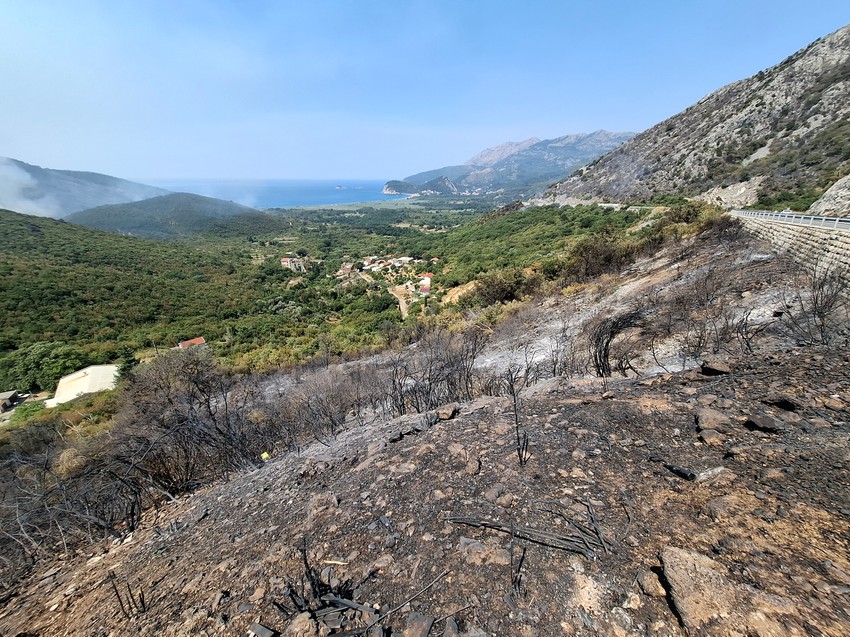 Izgorela šuma kod Buljarica