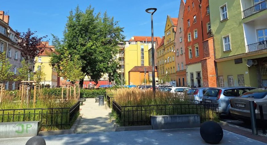 Na podwórku przybyło zieleni