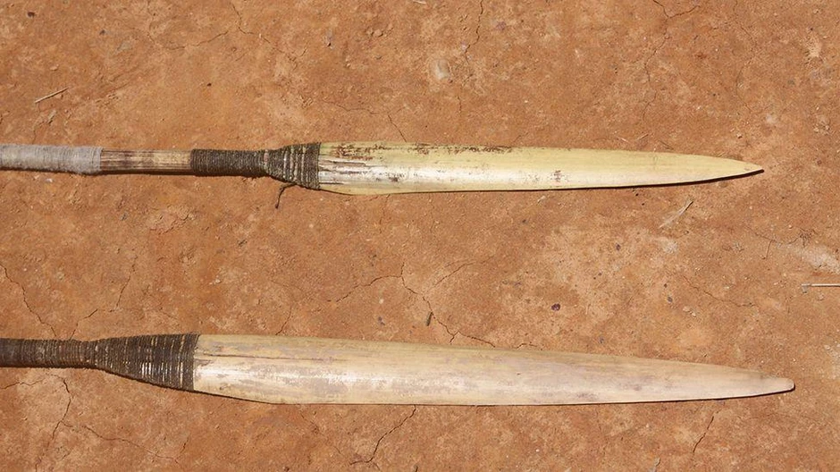 Maško Piro love u amazonskim prašumama koristeći koplja i strele | Foto: Fenamad