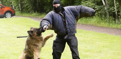 Policjant na czeterech łapach