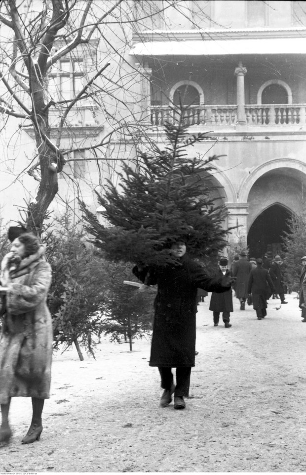 Przedświąteczna sprzedaż choinek na Rynku Głównym w Krakowie (1932 r.)