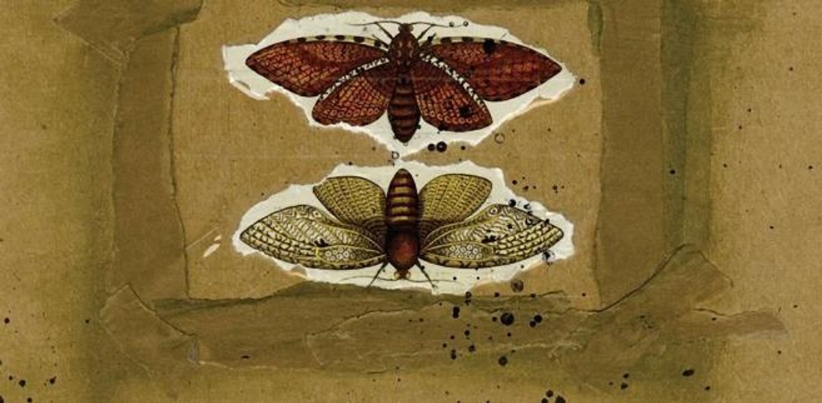 Mina Caputo "As Much Truth As One Can Bear" - recenzja