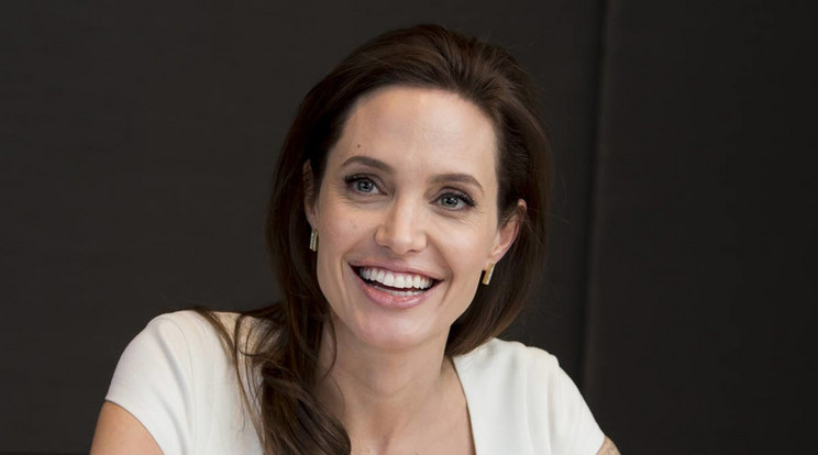 Angelina Jolie /Fotó: Northfoto