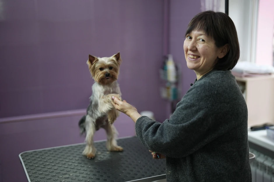 Vita sa Žorom, jorkširskim terijerom evakuisanim iz drugog grada na frontu, Lajmana, u salonu za negu kućnih ljubimaca. | Foto: BBC