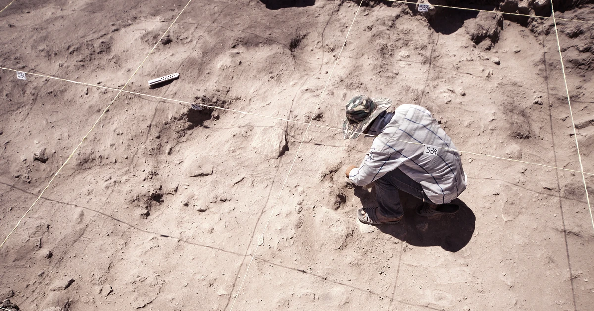 Niezbadana mastaba faraona Szepseskafa ujawnia sekrety. Polacy ruszają z kolejnym etapem prac