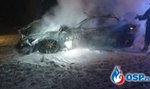 Maserati doszczętnie spłonęło. Ponad 100 tys. zł poszło z dymem