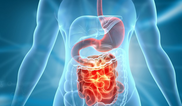 Za oporavak mikrobioma, probiotici se uzimaju u kontinuitetu minimalno mesec dana