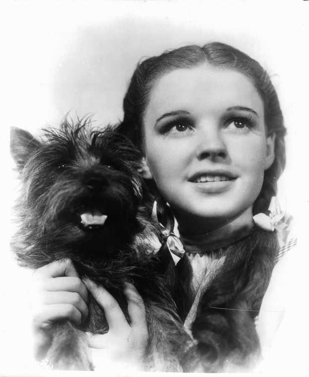 Judy Garland i Toto w "Czarnoksiężniku z Krainy Oz"
