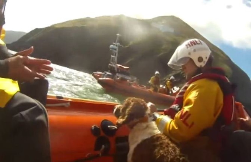 Spring sa spasilačkom ekipom