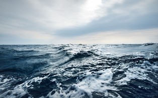 Odkrycie polskich nurków w Bałtyku. "No to chyba mamy skarb"