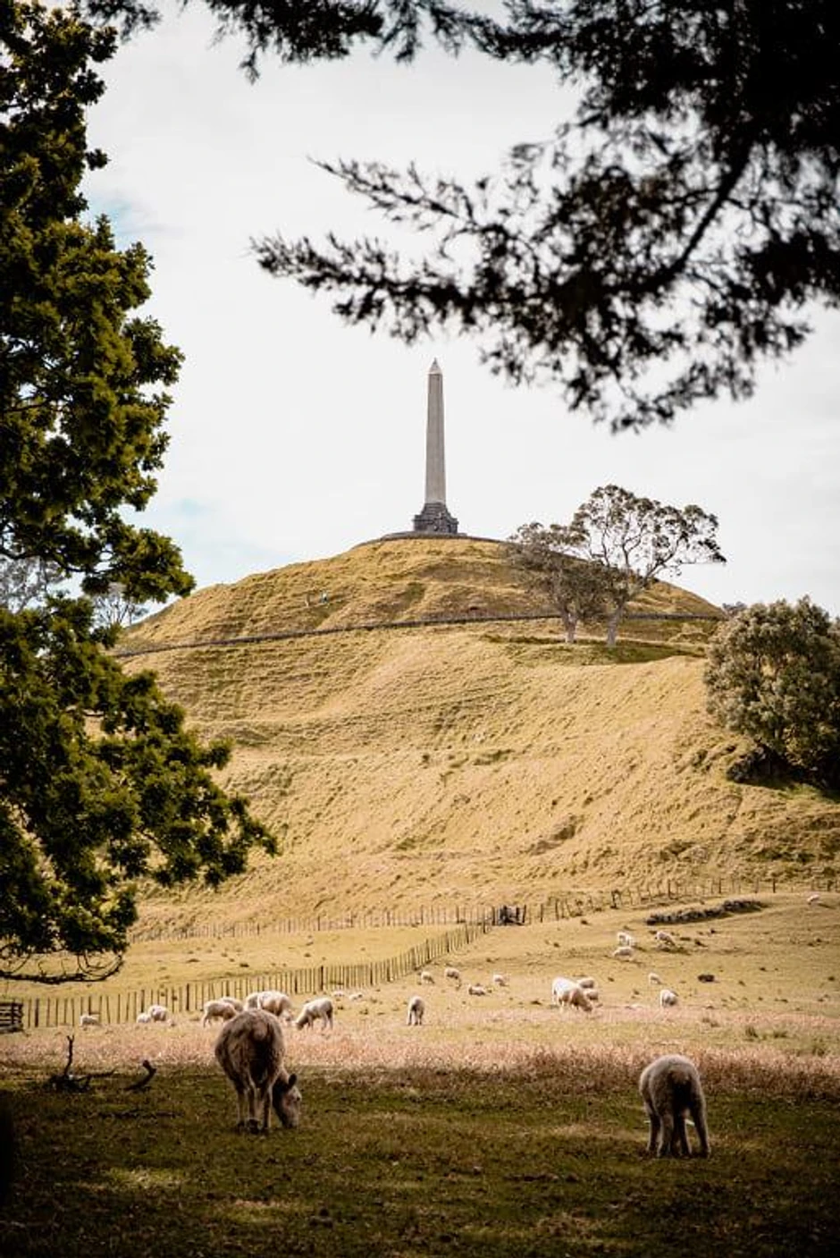 Kornvol Park, Oukland