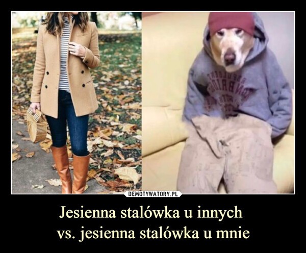 Najlepsze memy o jesieni. Internauci w formie