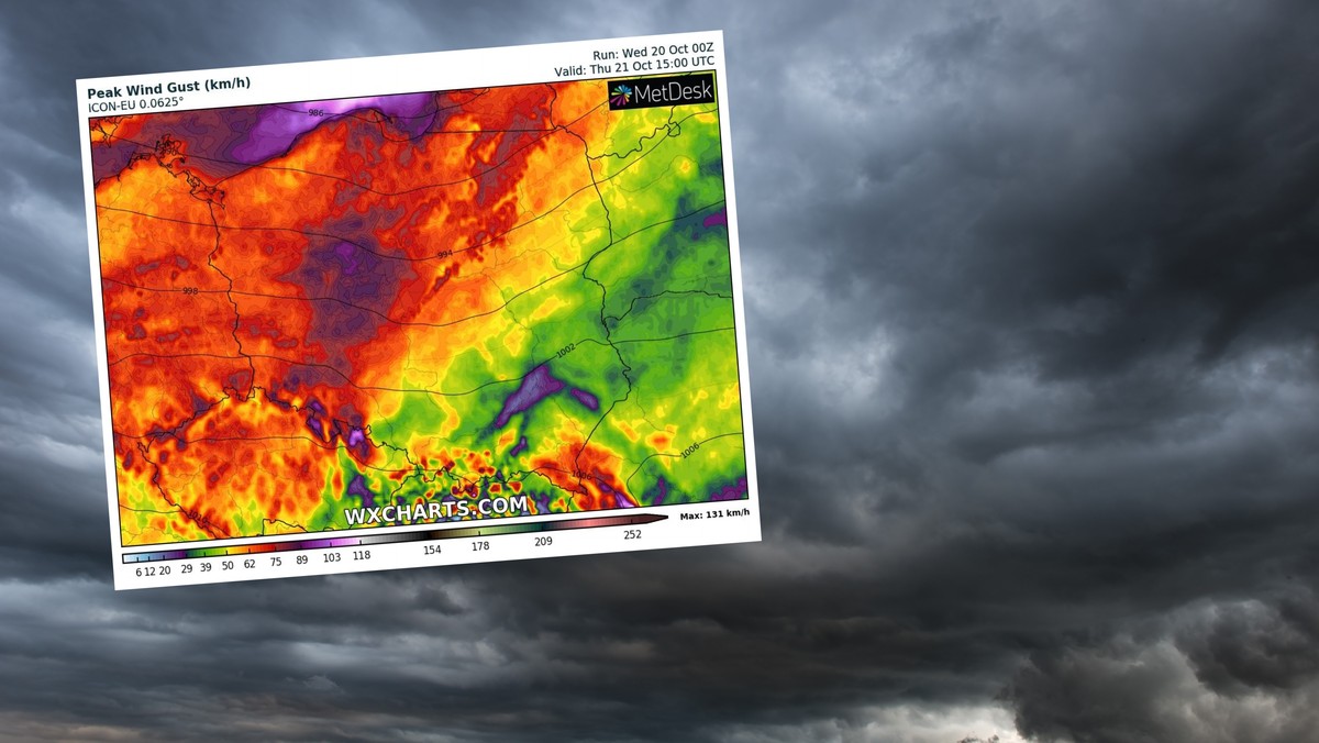 Do Polski zbliża się wichura. Powieje nawet 100 km na godzinę