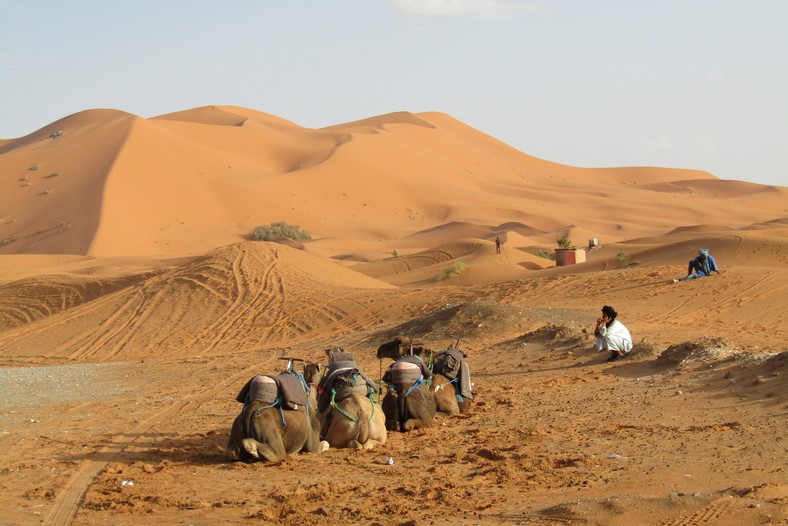  Sahara, Maroko 