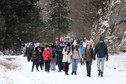 Turyści w Dolinie Kościeliskiej w Tatrach