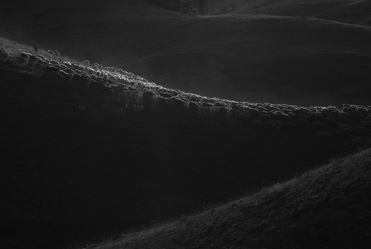 II miejsce w kategorii ŻYCIE CODZIENNE (zdjęcie pojedyncze): Tomasz Padło, Visavis.pl. Zdjęcie z fotoreportażu przedstawiającego życie nad rzeką Neretwa – krajobraz w pobliżu miejscowości Ulog w dorzeczu górnej Neretwy (Bośnia i Hercegowina). 13–17 września 2011