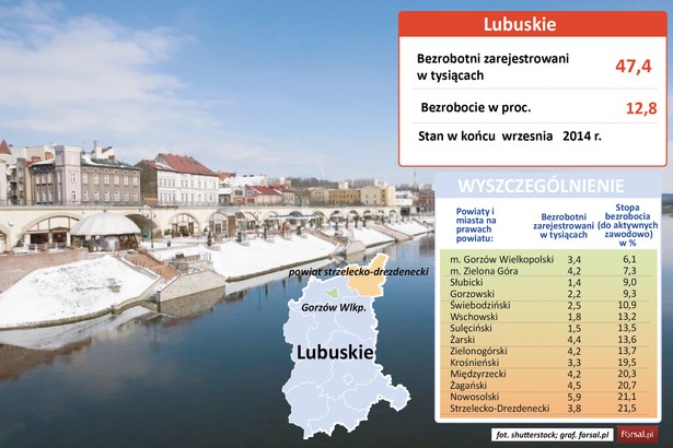 Stopa bezrobocia w województwie lubuskim wynosi 12,8 proc. Gospodarka regionu w dużym stopniu korzysta na bliskości Niemiec. Najniższe bezrobocie panowało w Gorzowie Wielkopolskim (6,1 proc.). Największym pracodawcą w mieście jest SE Bordnetze Polska należąca do Grupy Sumitomo. Zakład produkuje wiązki elektryczne do samochodów Volkswagen, Audi, Skoda i Bugatti. Obecnie zatrudnia ponad 2,6 tys. osób. W Gorzowie działa też m.in. polski zakład tajwańskiego TPV Displays, produkujący monitory i telewizory i Faurecia, specjalizująca się w produkcji elementów wnętrz samochodów znanych marek. Drugie najniższe bezrobocie w woj. lubuskim notuje Zielona Góra (7,3 proc.). Działają tu m.in. zakłady Advanced Digital Broadcast, producenta tunerów satelitarnych, a także należąca do grupy Pernod Ricard V&S Luksusowa, produkująca m.in. wódki Luksusowa i Pan Tadeusz. Region mocno stawia na innowacje. W połowie listopada w Nowym Kisielinie koło Zielonej Góry otwarto nowoczesny Park Naukowo-Technologiczny Uniwersytetu Zielonogórskiego. Inwestycja jest warta 70 mln zł. Pod powierzchnią województwa lubuskiego kryją się też znaczące złoża miedzi. O koncesje na wydobycie metalu biją się dwaj giganci – KGHM i kanadyjska Miedzi Copper. Ta ostatnia już zapowiadała otwarcie kopalni i miejsca pracy dla 8 tys. ale na razie wycofała się z projektu, a sprawa utknęła w sądzie. Najwyższy poziom bezrobocia w woj. lubuskim mają powiaty Nowosolski i Strzelecko-Drezdenecki – stopa bezrobocia przekracza tu 21 proc.