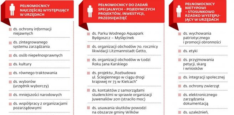 Przykłady pełnomocników występujących w urzędach miejskich, marszałkowskich i wojewódzkich