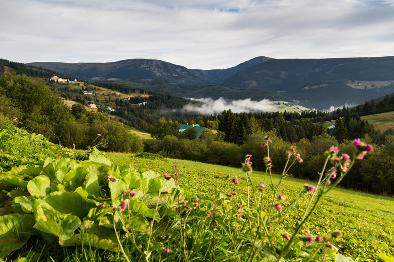 Droga na Śnieżkę, Czechy