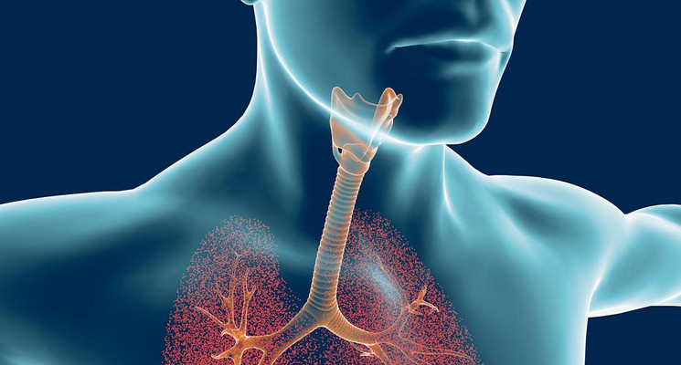 Доза Небу поддерживает процесс самоочищения верхних и нижних дыхательных путей