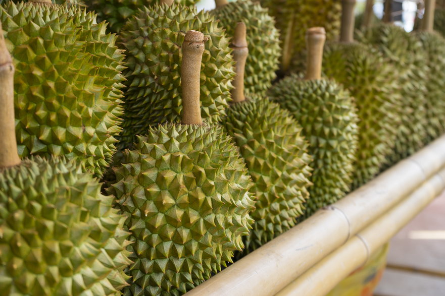 Durian w połączeniu z alkoholem może zaszkodzić wątrobie. Grozi to także poważnym zatruciem alkoholowym - bennnn/stock.adobe.com