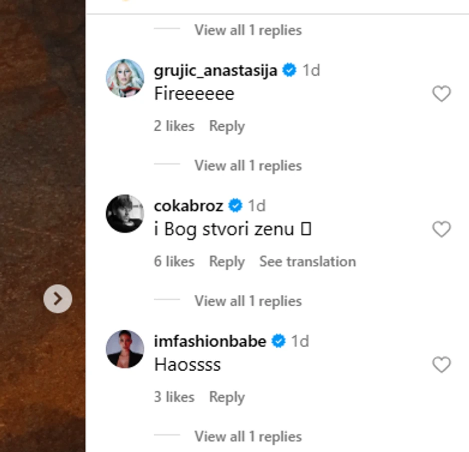 Jelisaveta Orašanin, komentari